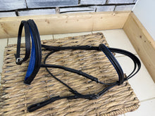 Load image into Gallery viewer, S/H Flash Noseband Bridle -Full- Black/Blue