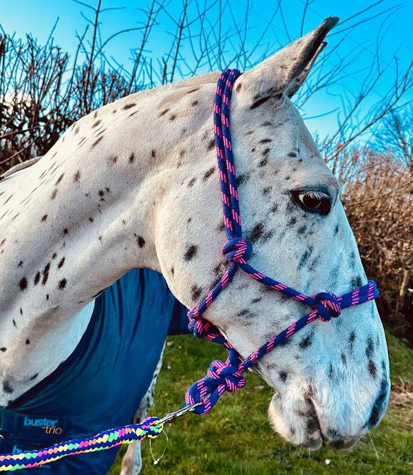Soft Rope Control Halter/Headcollar - One Size - Pink/Purple & Blue