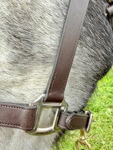 Load image into Gallery viewer, Plain Leather Clip Headcollar -Mini-Foal-Shetland/Pony/Cob/Full/XF-XXF/Draft - Travel/Shows/Turnout