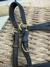 Load image into Gallery viewer, S/H Black Padded Leather Headcollar - Cob