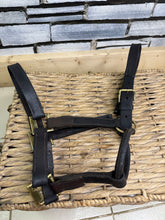 Load image into Gallery viewer, S/H English Brown &amp; Brass Leather Headcollar - Full