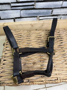 S/H English Brown & Brass Leather Headcollar - Full