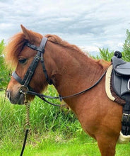 Load image into Gallery viewer, Plaited Hunter Bridle &amp; Rubber Reins - M&amp;M/Native/Shetland/Pony/Cob/XF - Black/Brown