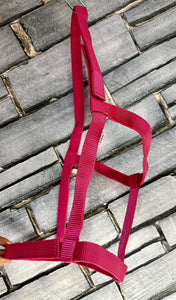 Easy Find Fieldsafe Quick Release Headcollar/Slip