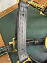 Load image into Gallery viewer, Pony English Leather Padded Headcollar - Black/Green/Brass - Clip Throat