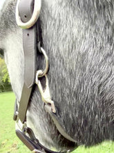 Load image into Gallery viewer, Plain Leather Clip Headcollar -Mini-Foal-Shetland/Pony/Cob/Full/XF-XXF/Draft - Travel/Shows/Turnout