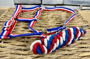 Adjustable Headcollar & Lead Rope Set - Shetland up to Full Size - Red/White/Blue
