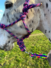 Load image into Gallery viewer, Soft Rope Control Halter/Headcollar - One Size - Pink/Purple &amp; Blue