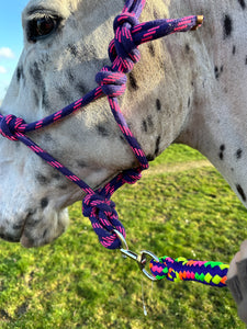 Soft Rope Control Halter/Headcollar - One Size - Pink/Purple & Blue