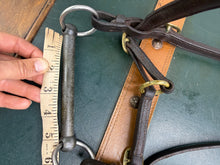 Load image into Gallery viewer, English In-hand Show Bridle - Full - Brown/Brass - 5” Inhand Bit