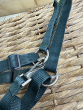 Load image into Gallery viewer, S/H Aerborn Fieldsafe Clip Grazing Muzzle - Green - Pony