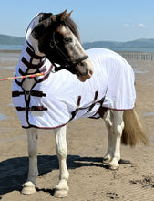Load image into Gallery viewer, Combo Mesh Breathable Fly Rug with Belly Flap - 5’6, 5’9, 6’, 6’3, 6’6