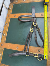 Load image into Gallery viewer, In-hand Show Bridle/Filly Slip/Halter  -Cob/Full Youngstock- Brown/Brass - English Leather