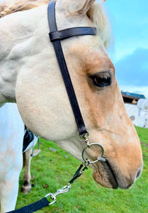 English Made Clip Work Bridle - Custom Made - All Sizes