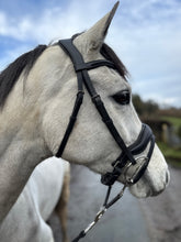 Load image into Gallery viewer, Serenity Poll Relief Comfort Flash Snaffle Bridle-Shetland/Pony/Cob/F