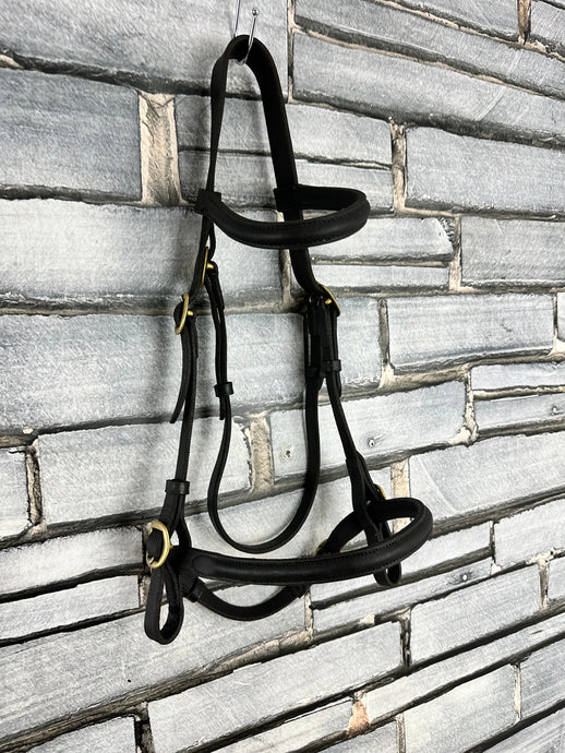 S/H English In-hand Showing Bridle - Black/Brass - Full