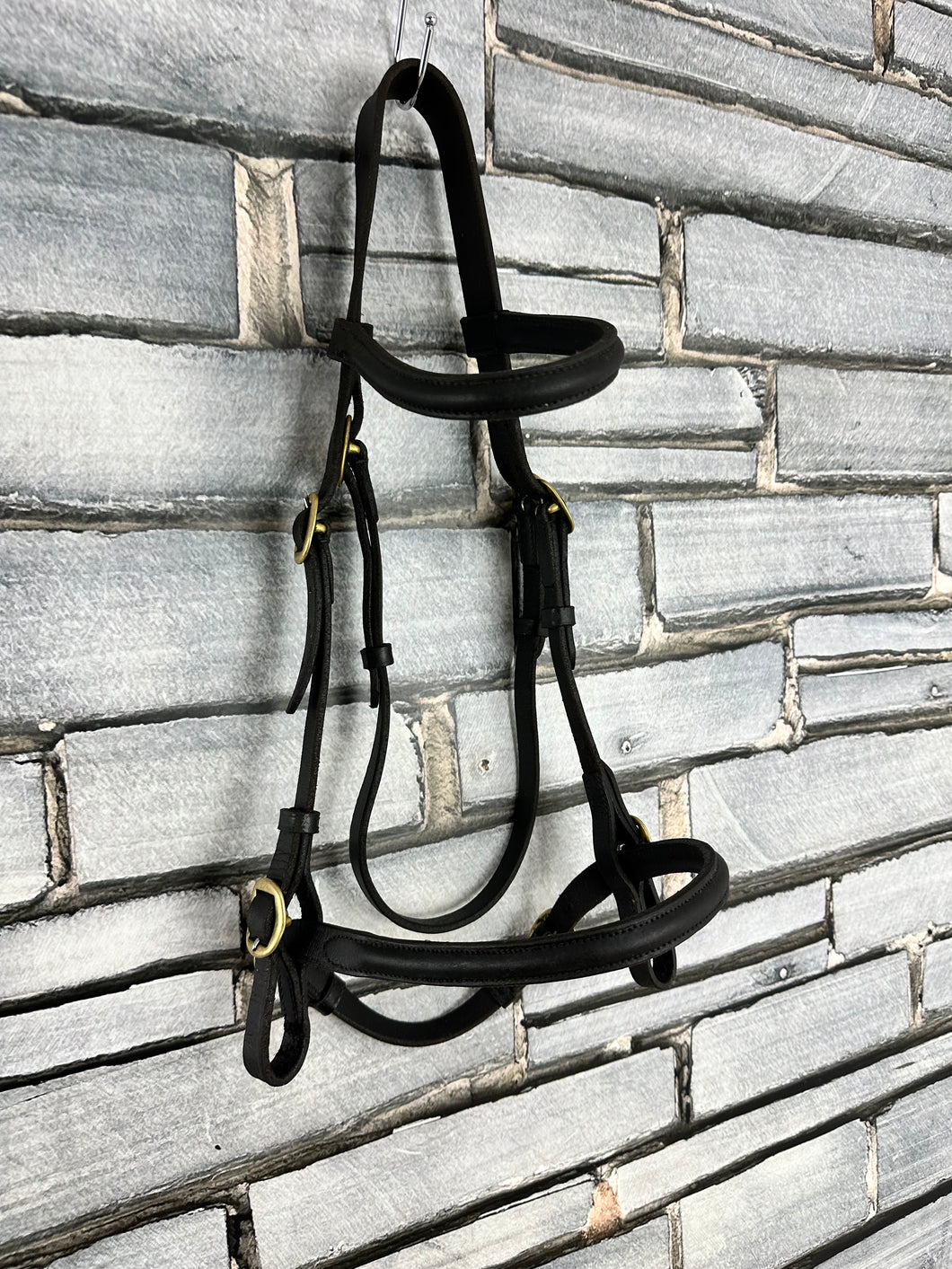 S/H English In-hand Showing Bridle - Black/Brass - Full