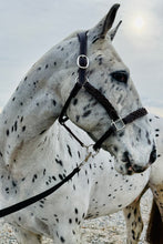 Load image into Gallery viewer, Comfort Leather Headcollar -Serenity Poll Relief- Plaited Nose -S/Pony/Cob/F