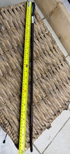 Load image into Gallery viewer, Buffalo Horn Topped Plaited Leather Show Cane - Brown/Black