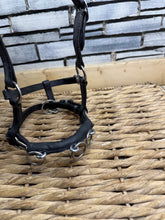 Load image into Gallery viewer, Miniature Horse/Mini Shetland Leather Lunge Cavesson - Black