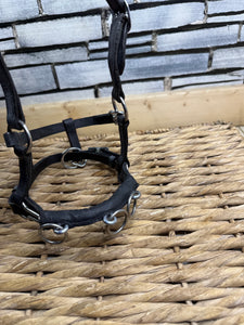 Miniature Horse/Mini Shetland Leather Lunge Cavesson - Black