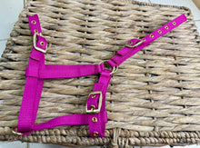 Load image into Gallery viewer, Soft Webbing Standard Foal Slip/Headcollar - Purple/Pink/Ocean