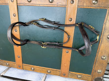 Load image into Gallery viewer, In-hand Show Bridle/Filly Slip/Halter  -Cob/Full Youngstock- Brown/Brass - English Leather