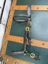 Load image into Gallery viewer, In-hand Show Bridle/Filly Slip/Halter  -Cob/Full Youngstock- Brown/Brass - English Leather
