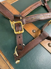 Load image into Gallery viewer, Brown/Tan Leather Padded Headcollar - Full Size -  Brass Clip