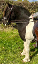 Load image into Gallery viewer, Wide Padded Chunky Hunter Bridle with Plaited Reins &amp; Browband