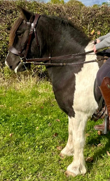English Made Shetland/Small Pony Clip Side/Grass Reins - Custom Made - All Sizes