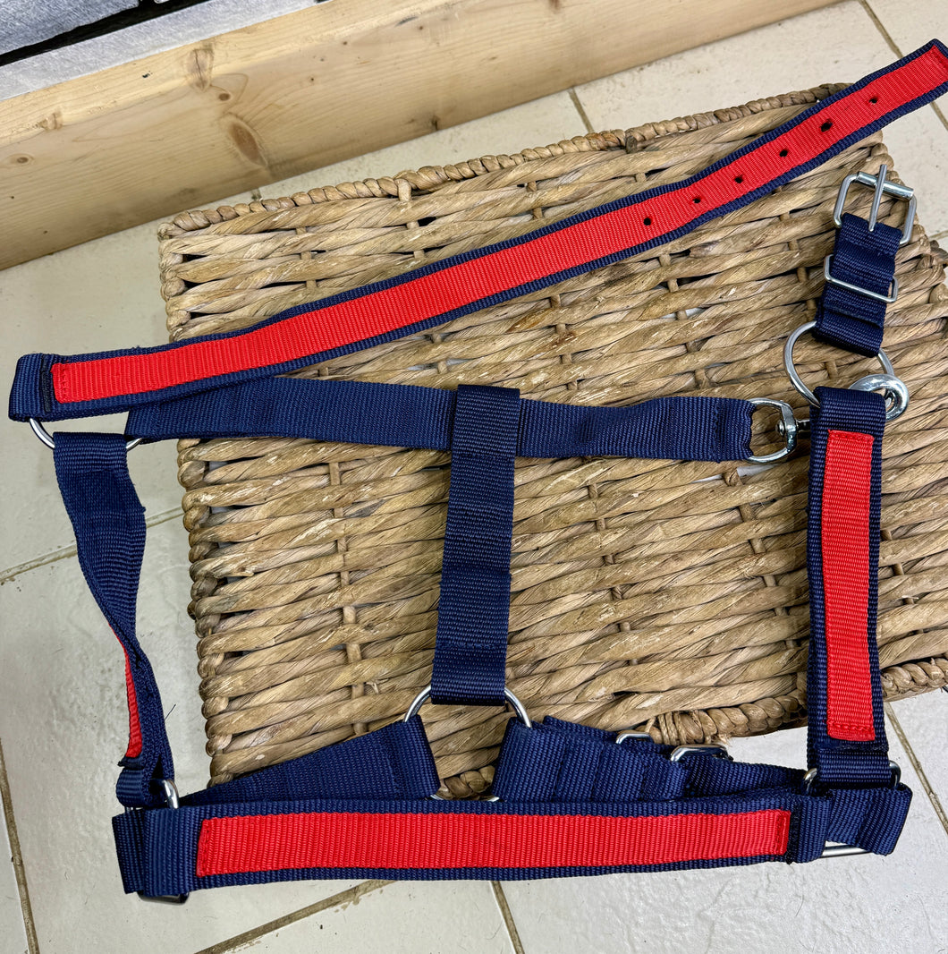 Heavy Horse Reinforced Web Headcollar - XXF