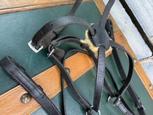 Load image into Gallery viewer, English Grackle Bridle - Full - Black - Mexican Grackle