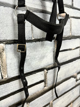 Load image into Gallery viewer, S/H Libby’s Web Hunting Breastplate - Black - Full