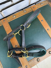 Load image into Gallery viewer, Pony English Leather Padded Headcollar - Black/Green/Brass - Clip Throat