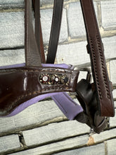 Load image into Gallery viewer, S/H Equicraft Anatomic Patent Dressage Bridle - Brown - XF