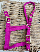 Load image into Gallery viewer, Soft Webbing Standard Foal Slip/Headcollar - Purple/Pink/Ocean