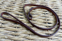 Load image into Gallery viewer, Leather In-Hand Show Lead - Chestnut Brown/Brass