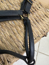 Load image into Gallery viewer, S/H XXF/Draft English Leather Headcollar - Black