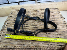 Load image into Gallery viewer, S/H In hand Flat Showing Bridle -Black/Brass- Mini Shetland