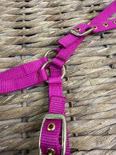 Load image into Gallery viewer, Soft Webbing Standard Foal Slip/Headcollar - Purple/Pink/Ocean