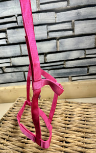 Easy Find Fieldsafe Quick Release Headcollar/Slip
