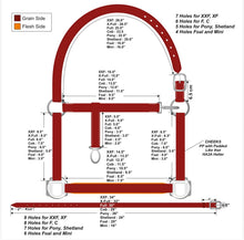 Load image into Gallery viewer, Plain Leather Clip Headcollar -Mini-Foal-Shetland/Pony/Cob/Full/XF-XXF/Draft - Travel/Shows/Turnout