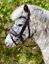 Load image into Gallery viewer, Serenity Poll Relief Comfort Flash Snaffle Bridle-Shetland/Pony/Cob/F