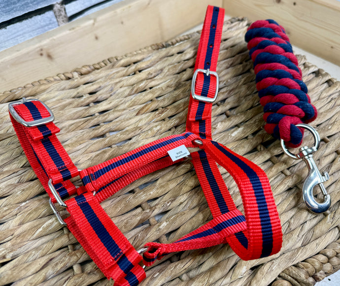Shetland/Small Pony Headcollar & Lead Rope Set - Red/Navy