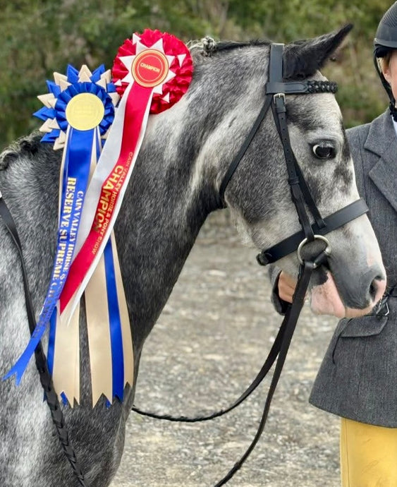 Hunter Bridle, Plaited Browband & Rubber Reins-M&M/Native/Shetland/Pony/Cob/XF