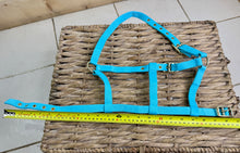 Load image into Gallery viewer, Soft Webbing Standard Foal Slip/Headcollar - Purple/Pink/Ocean