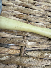 Load image into Gallery viewer, S/H 5” Nathe American Gag Bit