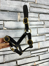 Load image into Gallery viewer, S/H Black English Leather Padded Headcollar  - Pony