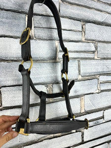 S/H Black English Leather Padded Headcollar  - Pony